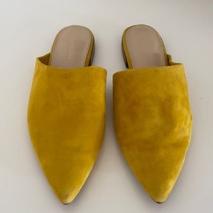 Mustard Slides
